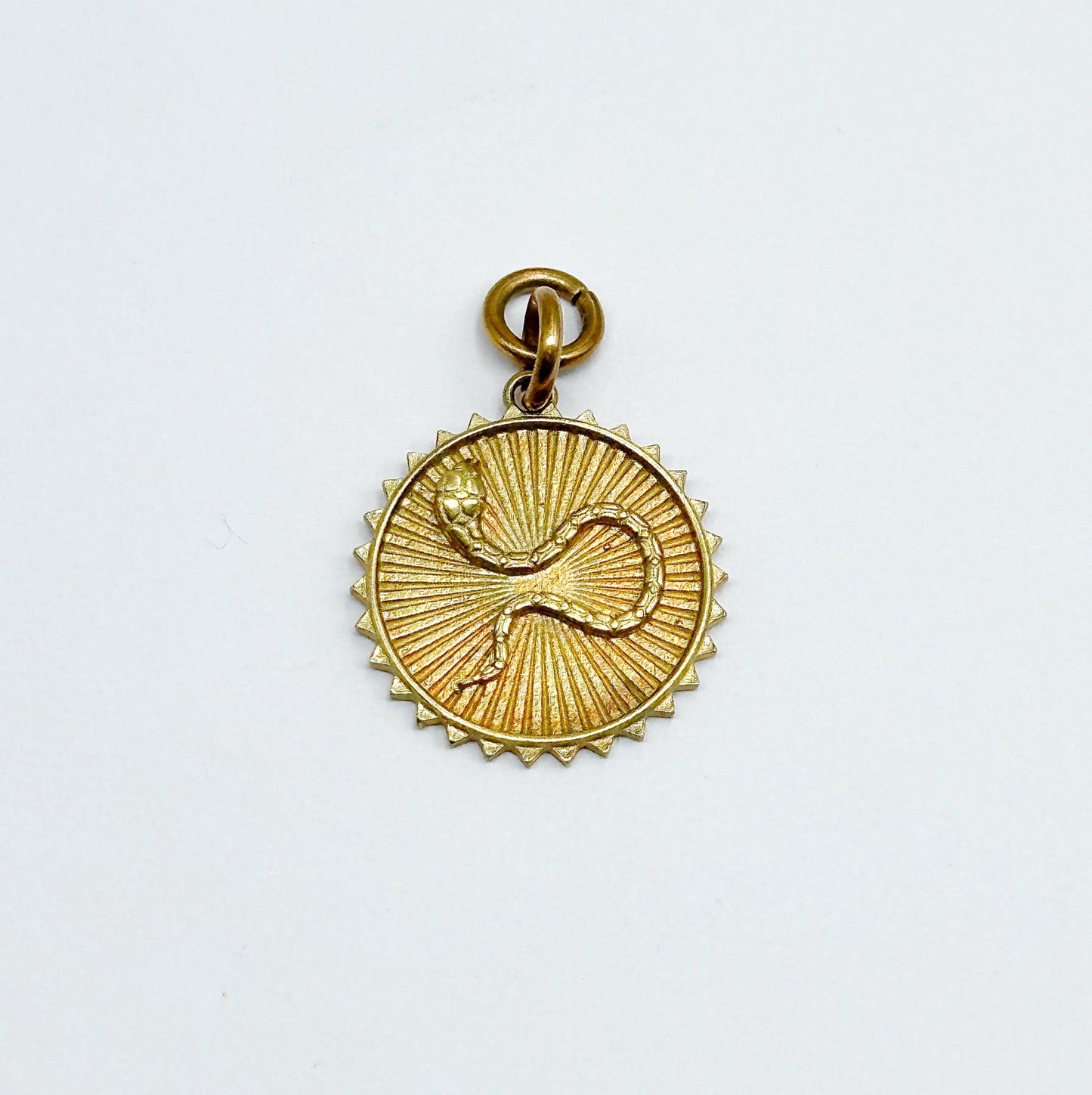 Brass Snake Medallion