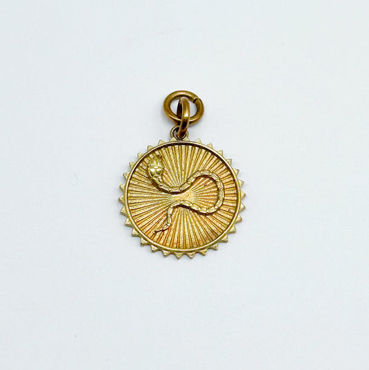 Brass Snake Medallion